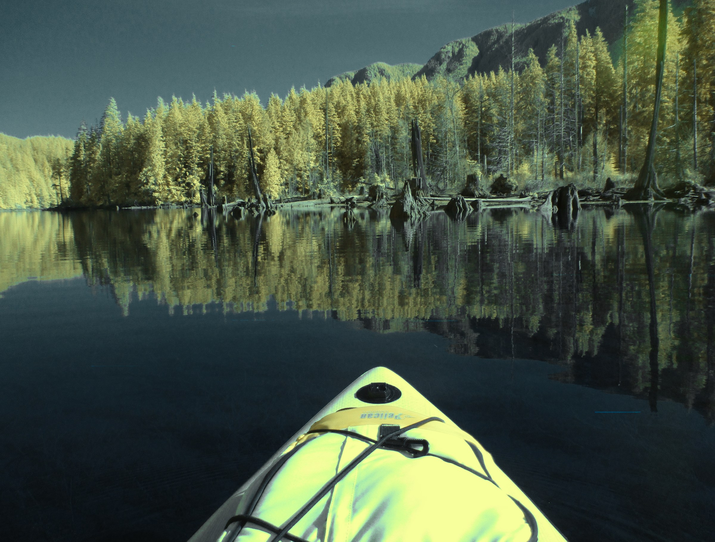 Sasaamat Lake Landscape