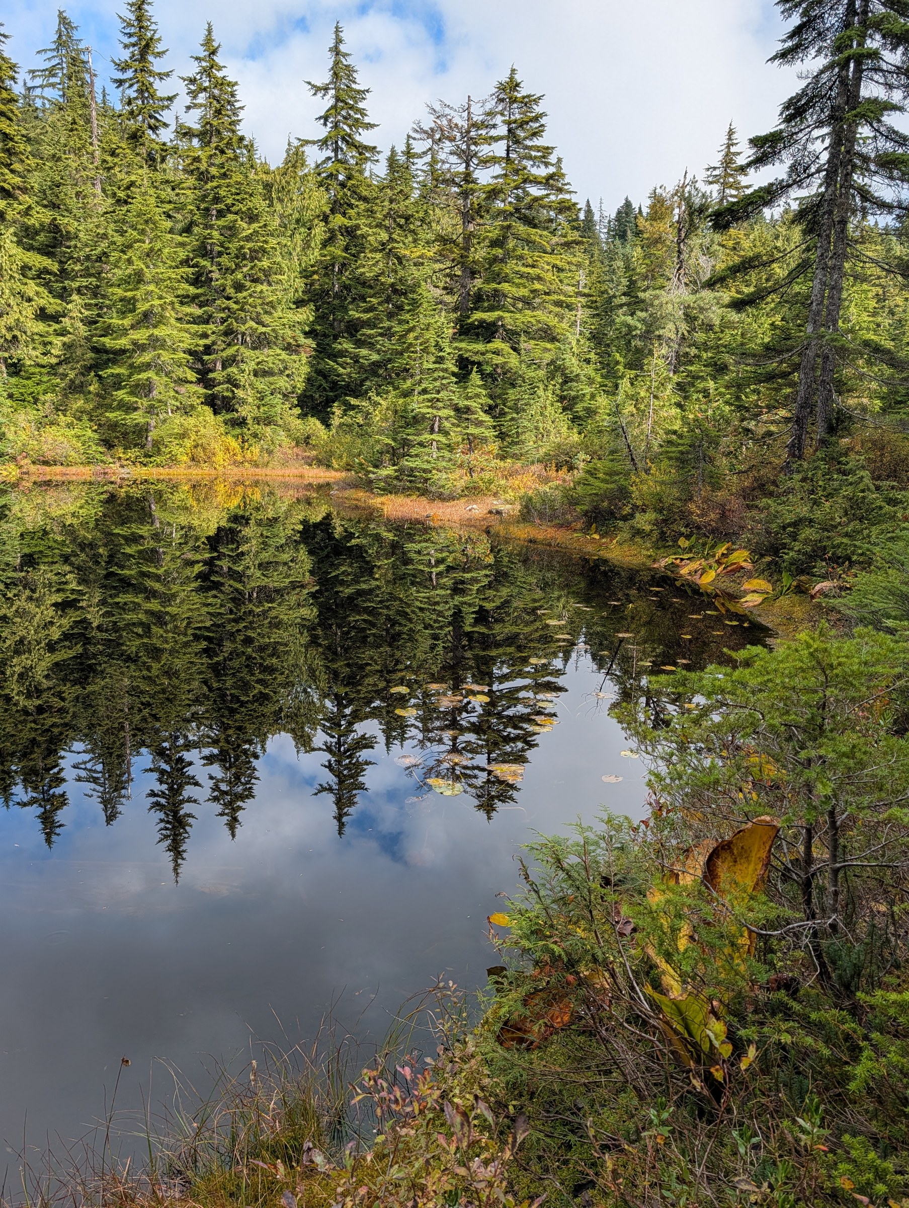 Honest reflections