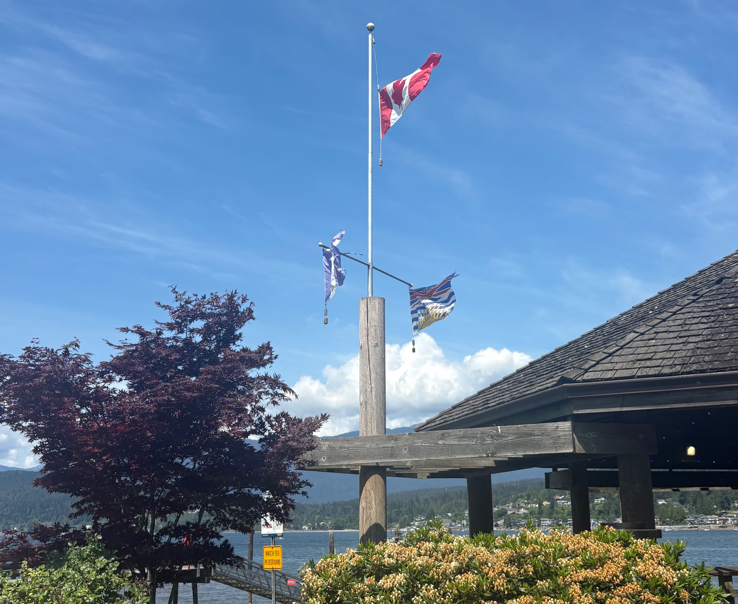 The flying Canadian flags