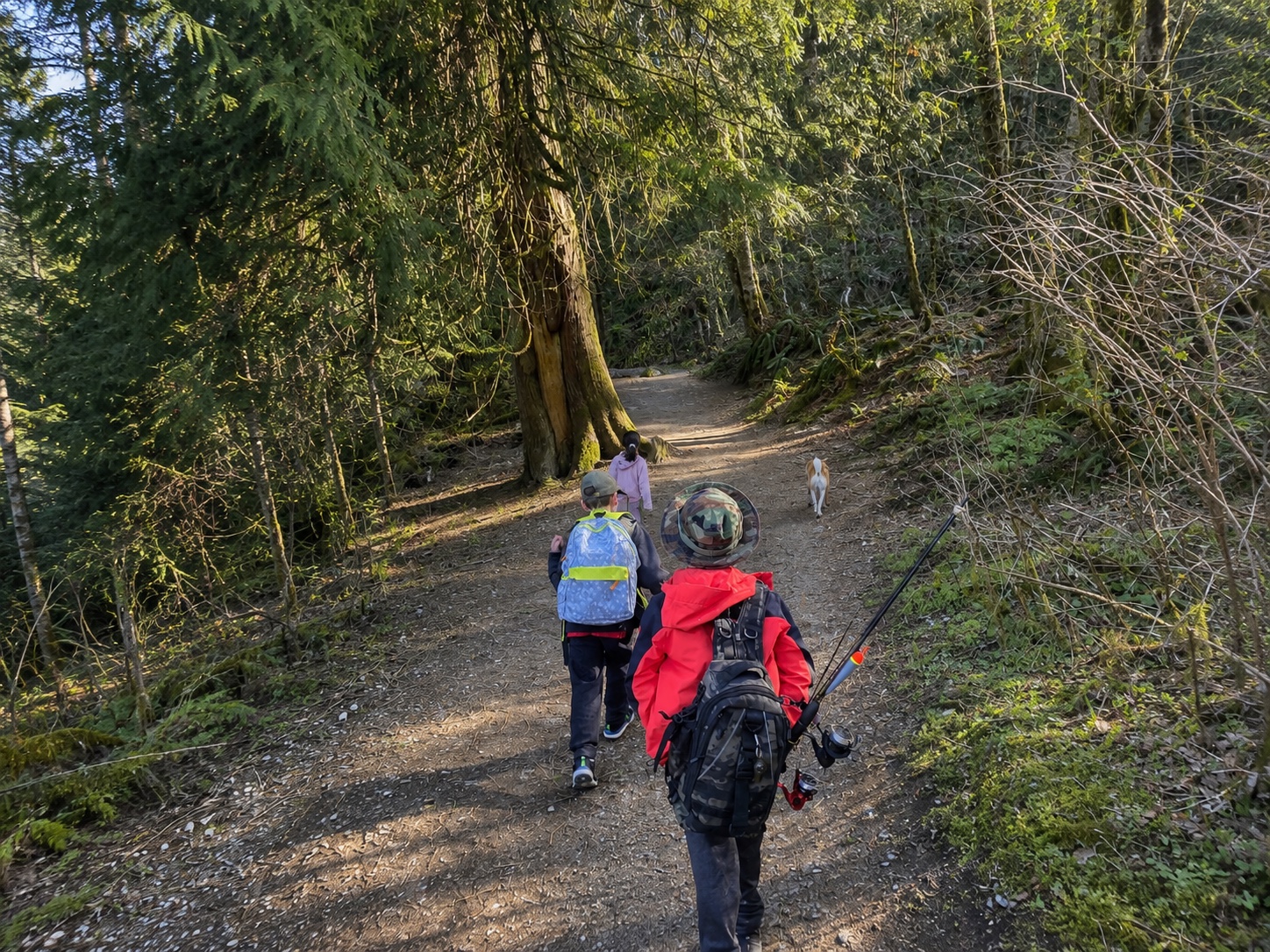 Beginning of the trails